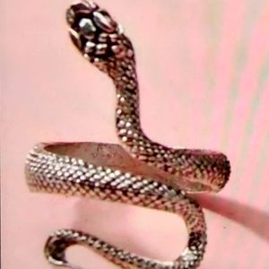 NWOT Adjustable Snake Ring